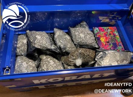 Seized Narcotics - DEANYTFD